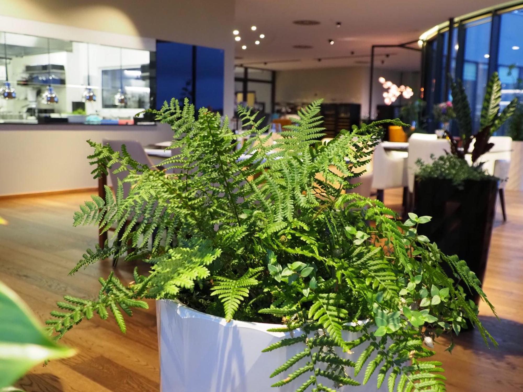 מלאדה בולסלאב Mg Restaurace/Luxury Apartments מראה חיצוני תמונה